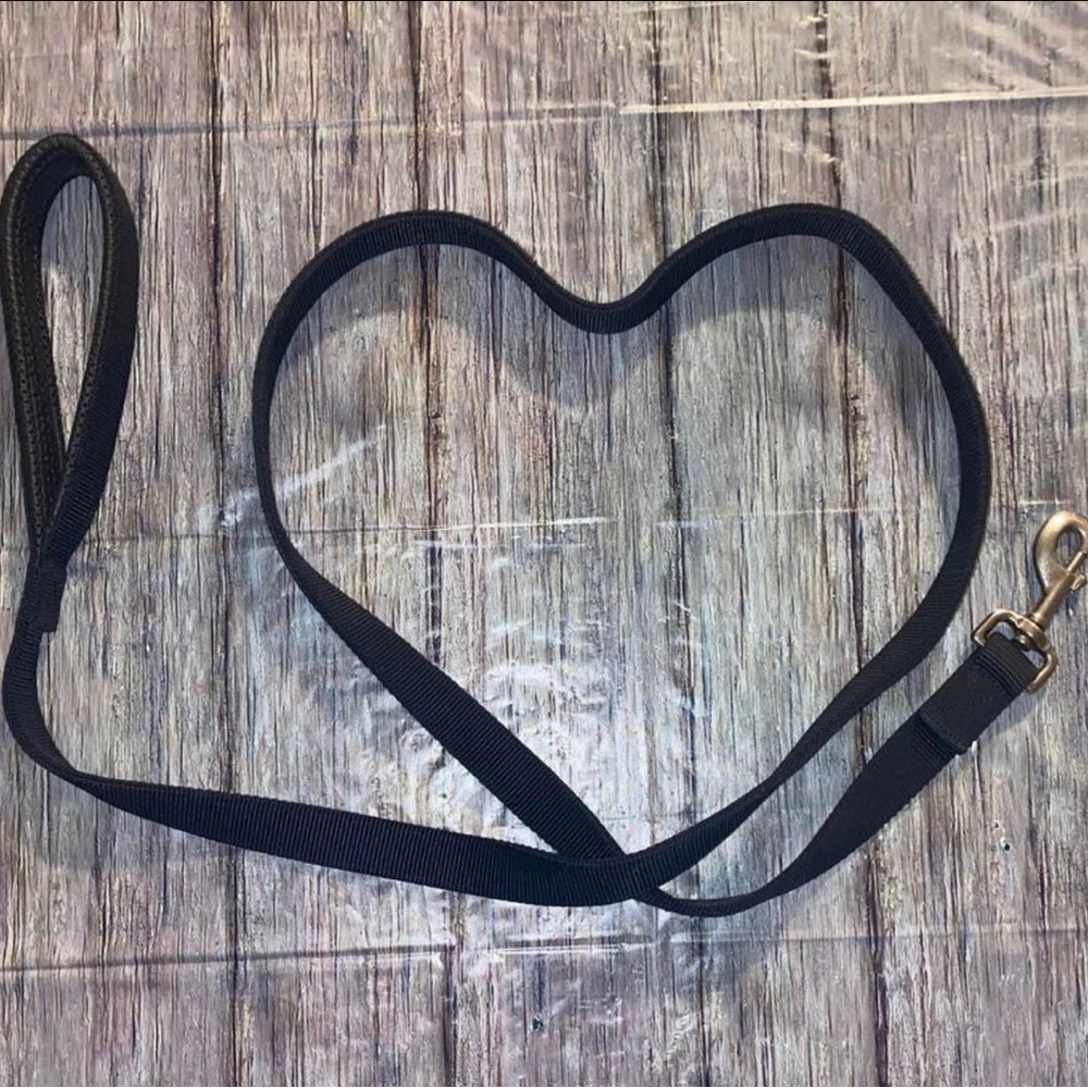 💞 70” Black Puppy Dog Leash